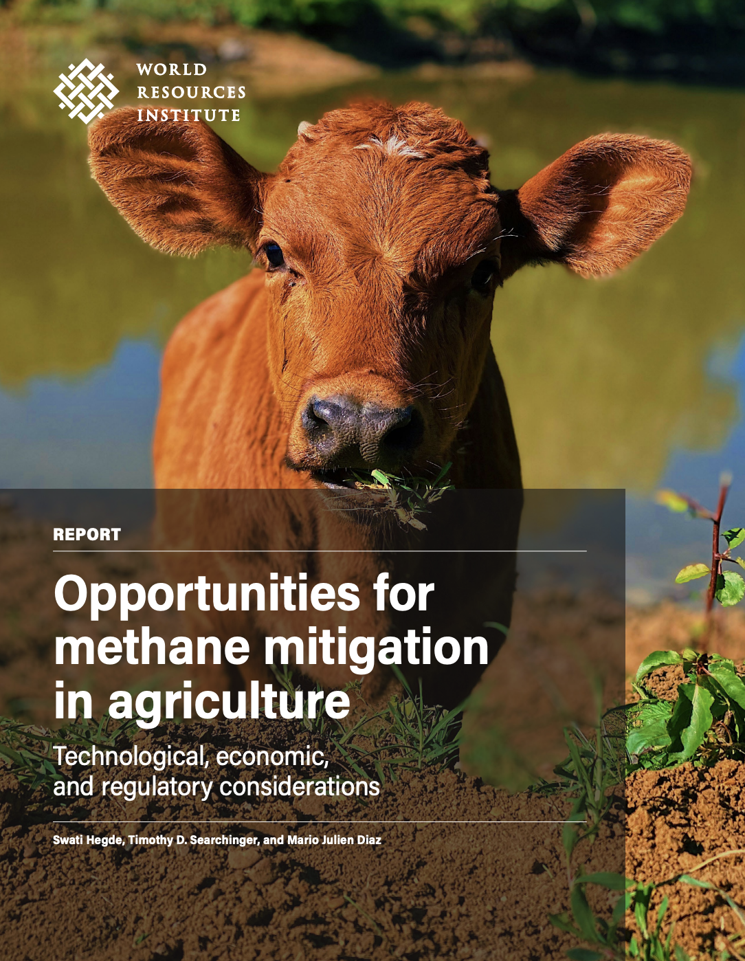 Opportunities for methane mitigation in agriculture: Technological, economic, and regulatory considerations